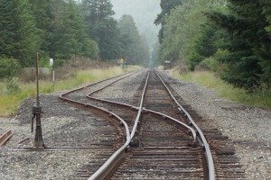 Transitions from One Catholic Montessori Plane of Development to the Next